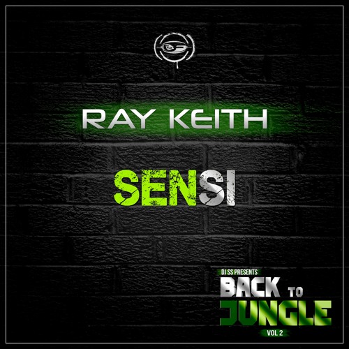 Ray Keith - Sensi / Back to Jungle vol.2 LP / clip