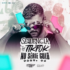SEQUÊNCIA DE TIKTOK NO SÉRIE GOLD PART. 4 (DJ STANLEY) part. DJ VN DA VILA & DJ KR