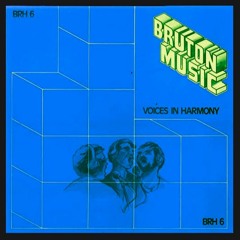 HOUSE SHOES FLIP SESSIONS #8