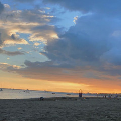 the beach
