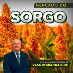 Produtor de sorgo vai faturar mais em 2025