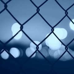 Davas Hardy - BASS REALITY