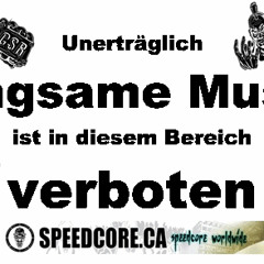 D.S.P - Core - Deutsche Kinder Lieben Meine Speedcore