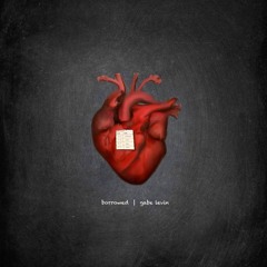 Borrowed - Gabe Levin
