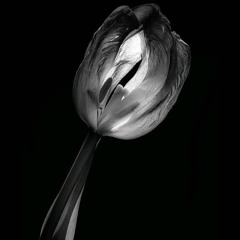 Ilham Al-Madfai - Khuttar (2015) _إلهام المدفعي _خطار