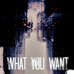 What You Want