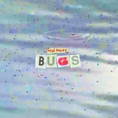 04 How Many Bugs
