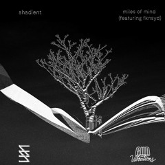Shadient - Miles Of Mind (feat. fknsyd)