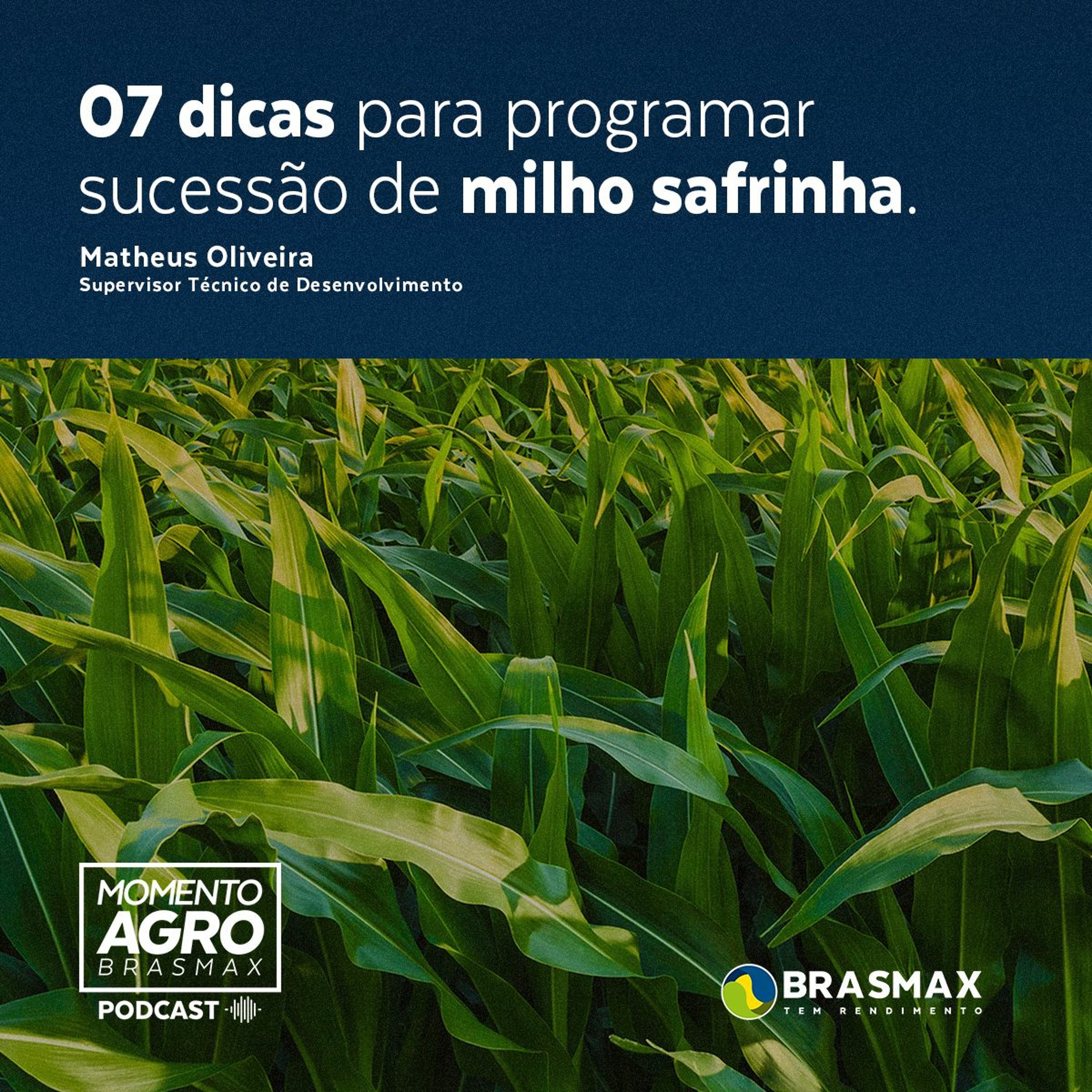 Momento AGRO Brasmax