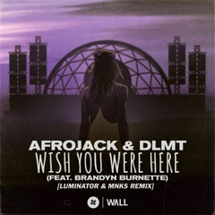 Afrojack & DLMT Ft. Brandyn Burnette-Wish You Were Here[LUMINATOR & MNKS Remix]