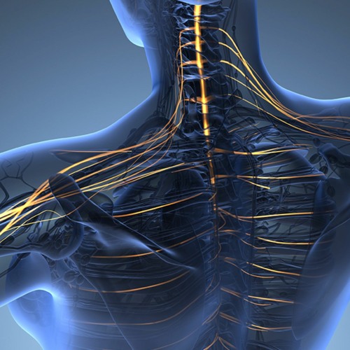 Strange Tingles Down The Back