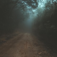 Woods