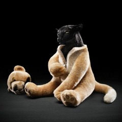 Pretty Crazy (demo version)