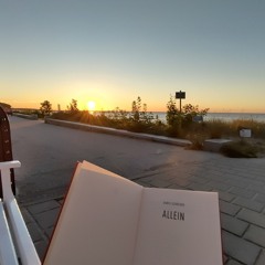 MonoToni - Faded (never finished)