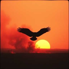 Vultures at My Gate