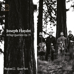 String Quartet in D Major, Op. 71 No. 2: IV. Finale (Allegretto)