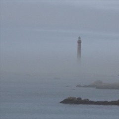 jasper dans la brume