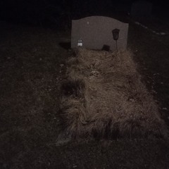 Ytterligare ett steg närmare en svart industriell mosbricka