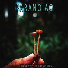 3 - Paranoiac - El Sonido Desarma La Complejidad Del Pensamiento.
