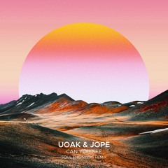 UOAK & Jope - Can You See (Soul Engineers Remix)