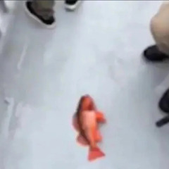 The silent yet powerful urge to scream this loud when someone says 67