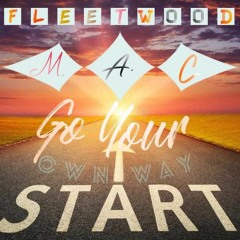 Fleetwood Mac - Go Your Own Way ( Gaj3ra MashUp )
