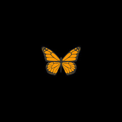 what you see (prod.shvde)
