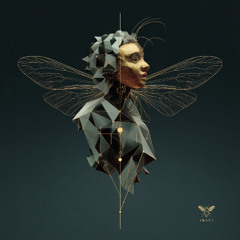 INSCT, Hartmut Kiss - Funky Machines (loose your soul mix)