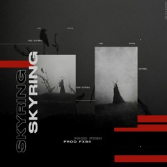 Skyring