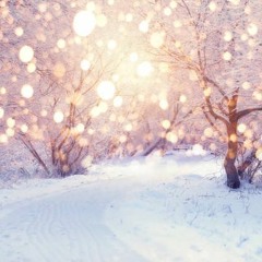 [17x UTAU] Miracles In December [UTAU Cover]