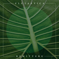 Flutastica