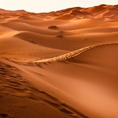 يا طبيب القلب | دينا الوديدي وكايرو ستيبس | من شعر رابعة العدوية