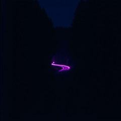 In the Dark