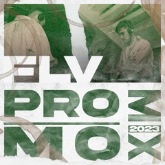FLV - Promo Mix 2023