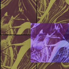 11/26 mix - minimal/ambient/frog