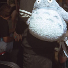 totoro