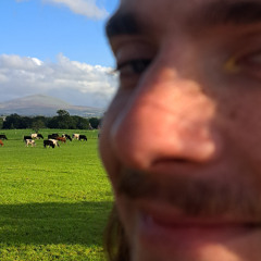 The Snail with Cat Ears - Phone Demo