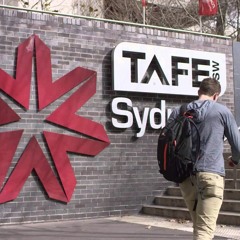 TAFE VS UNI