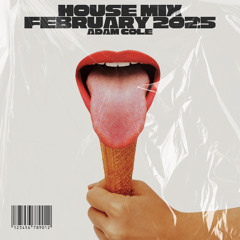 BEST HOUSE MIX FEBRUARY 2025