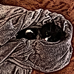 Breaking Down Einstein's Economics - Alice in Numberland Ep. 3