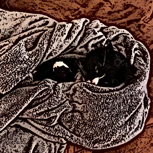 Breaking Down Einstein's Economics - Alice in Numberland Ep. 3