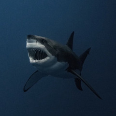 𝘼𝙖𝙧𝙤𝙣 𝙏𝙖𝙤𝙨 - 𝙘𝙤𝙣𝙩𝙧𝙤𝙡 (𝙨𝙡𝙤𝙬𝙚𝙙 + 𝙧𝙚𝙫𝙚𝙧𝙗)