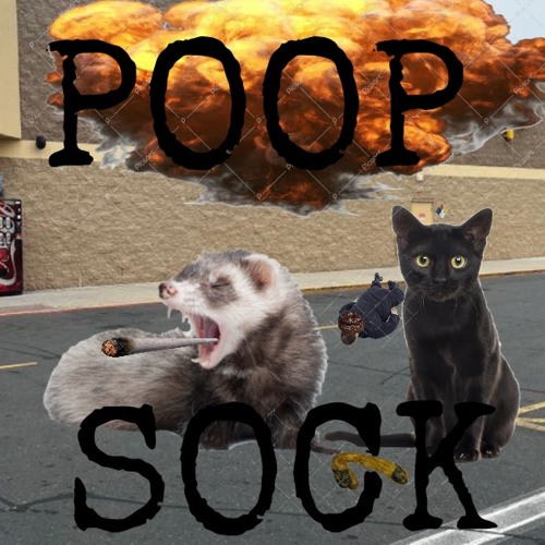 Stream POOP SOCK by carl | Listen online for free on SoundCloud