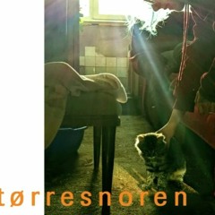 tørresnoren