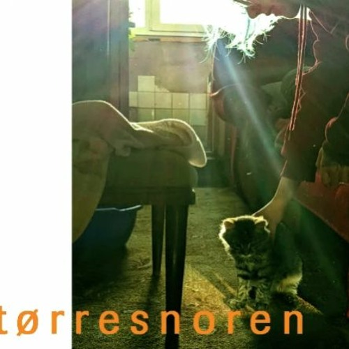 tørresnoren
