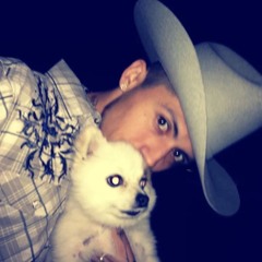 E+E - mezcla chinada