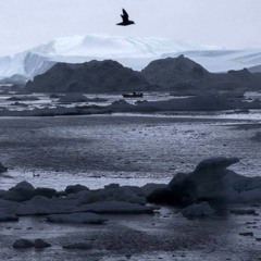 Winterwinter Its Cold