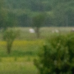 Volca Techno Bass Line