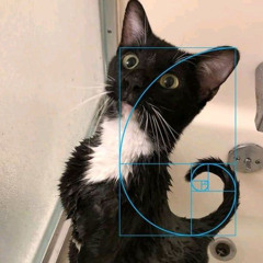 volao (instrumental)