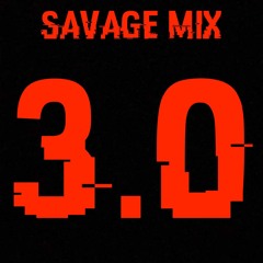 SAVAGE MIX 3.0